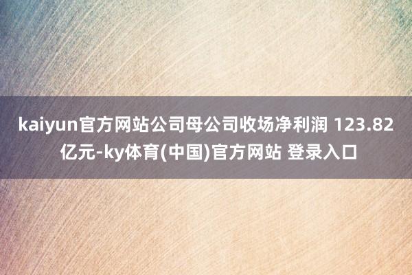 kaiyun官方网站公司母公司收场净利润 123.82 亿元-ky体育(中国)官方网站 登录入口