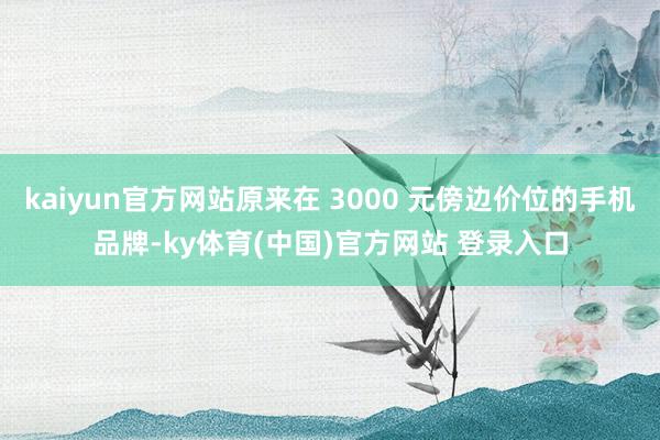 kaiyun官方网站原来在 3000 元傍边价位的手机品牌-ky体育(中国)官方网站 登录入口