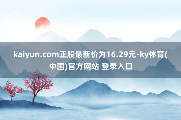 kaiyun.com正股最新价为16.29元-ky体育(中国)官方网站 登录入口