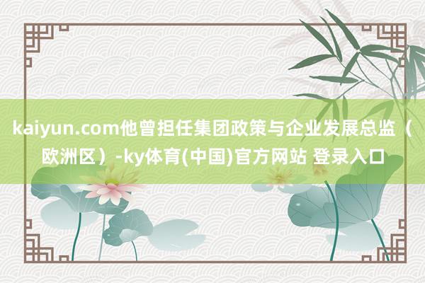 kaiyun.com他曾担任集团政策与企业发展总监（欧洲区）-ky体育(中国)官方网站 登录入口