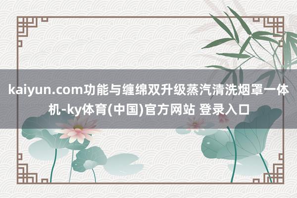 kaiyun.com功能与缠绵双升级蒸汽清洗烟罩一体机-ky体育(中国)官方网站 登录入口