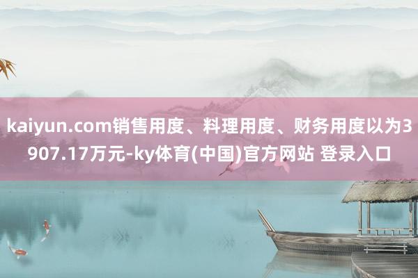kaiyun.com销售用度、料理用度、财务用度以为3907.17万元-ky体育(中国)官方网站 登录入口