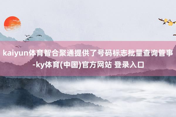 kaiyun体育智合聚通提供了号码标志批量查询管事-ky体育(中国)官方网站 登录入口